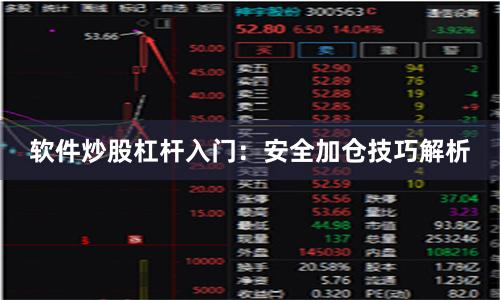软件炒股杠杆入门：安全加仓技巧解析